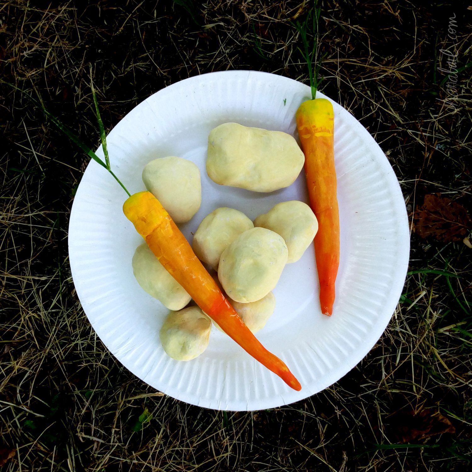 Assiette de patates et carottes