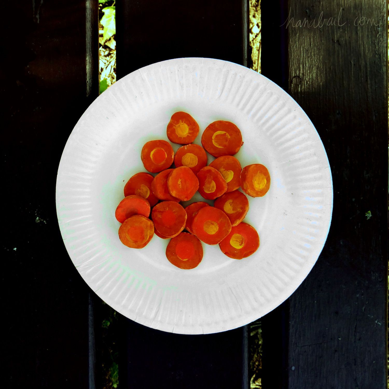 Assiette de rondelles de carottes